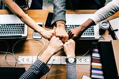 Principios de transparencia para Programas sociales